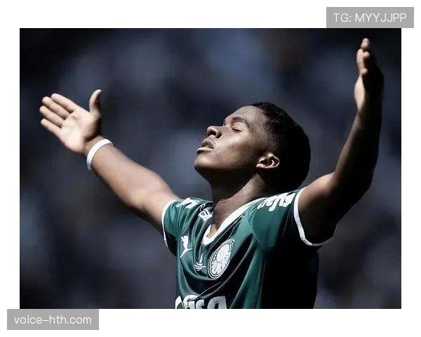 恩德里克职业生涯轨迹回顾,逐步成为全球焦点球员的过程分析 恩德里克职业生涯轨迹回顾,逐步成为全球焦点球员的过程分析